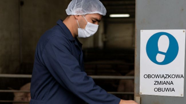 Zdjęcie 1. Pracownik fermy świń przechodzi przez r&oacute;żne obszary bez zmiany obuwia, ignorując wskazane protokoły bezpieczeństwa biologicznego. Obraz wygenerowany przez sztuczną inteligencję w celach ilustracyjnych (OpenAI, 2025).
