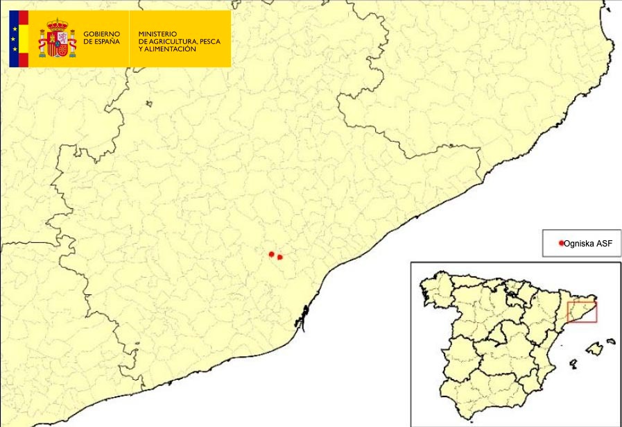 <p>Lokalizacja 2 ognisk ASF u dzik&oacute;w wykrytych w Katalonii (Źr&oacute;dło: MAPA)</p>
