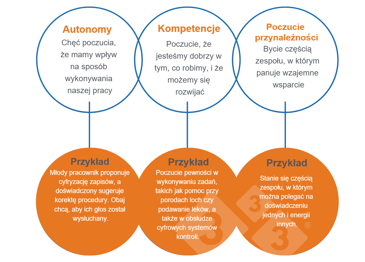<p>Rysunek 1. Uniwersalne potrzeby, kt&oacute;re dzielimy (Deci i Ryan, 2000).</p>
