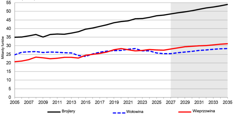 Produkcja produktów pochodzenia zwierzęcego w USA, 2005–2035. Źródło: USDA.