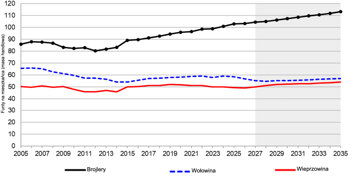 <p>Spożycie mięsa na mieszkańca w USA, 2005&ndash;2035. Źr&oacute;dło: USDA.</p>
