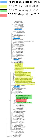 Dendogram of the PRRSv in Chile in 2013