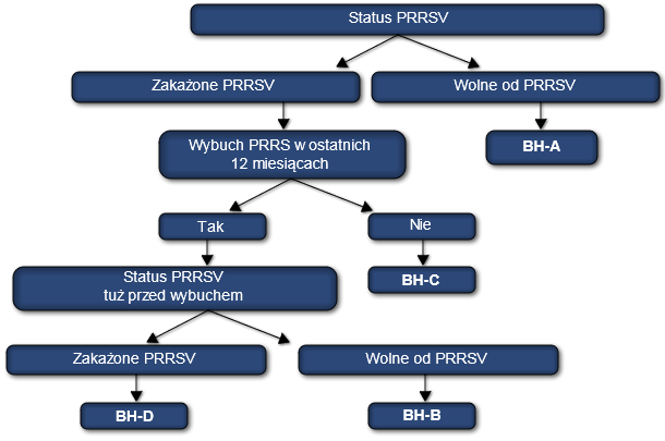 Klasyfikacja stad loch pod względem statusu PRRS