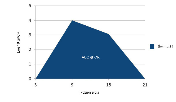 Example of calculation of the AUC of PCV2 qPCR for each individual