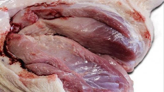 Pronounced paleness of the M. semimembranosus