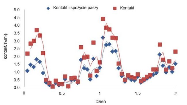 Kontakty z podajnikiem i kontakty z podajnikiem z konsumpcją paszy w pierwszych dwóch dniach w przypadku prosiąt mających dostęp do paszy przed odsadzeniem