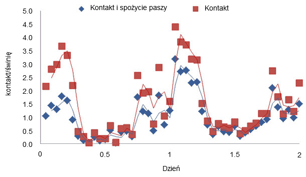 Kontakty z podajnikiem i kontakty z podajnikiem z konsumpcją paszy w pierwszych dwóch dniach w przypadku prosiąt mających dostęp do paszy przed odsadzeniem 