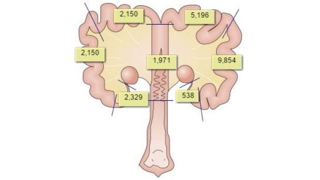 Inseminacje nasieniem enkapsulowanym