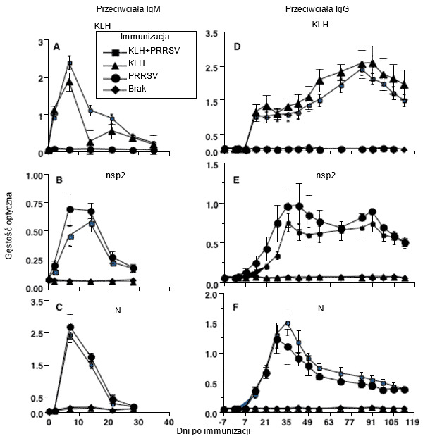 Antibody response kinetics to type 2 PRRSV infection