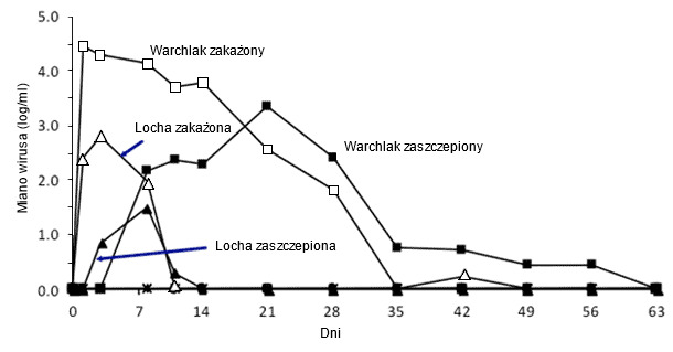 Effect of pig age on PRRSV growth