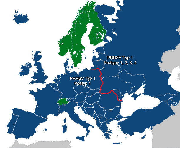 PRRSV diversity in Europe