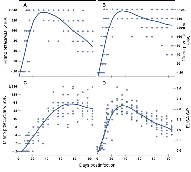 PRRSV specific antibody response in pigs over time after experimental infection