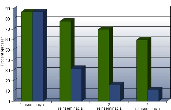 Rys. 2. Procent oproszeń w przypadku problemów z powtarzeniem rui. Kolumny zielone obrazują wyniki w stadzie zdrowym, niebieskie w stadzie z problemem powracających rui