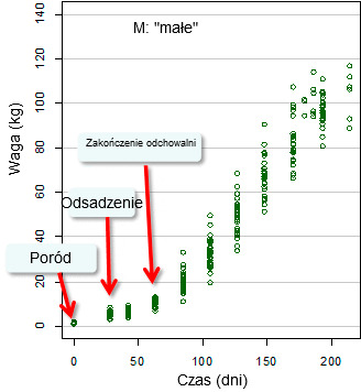 Evolution of live weight