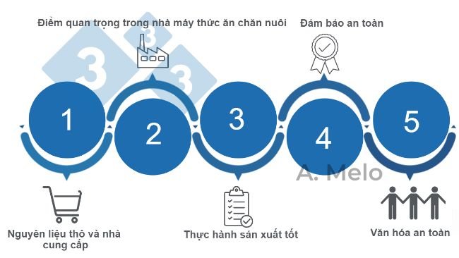 Hình 1. Năm chìa khóa để đạt được sự an toàn trong sản xuất thức ăn hỗn hợp.