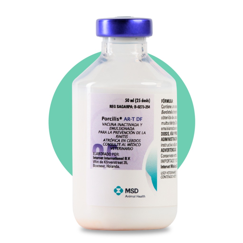 Vacuna: Porcilis® AR-T DF