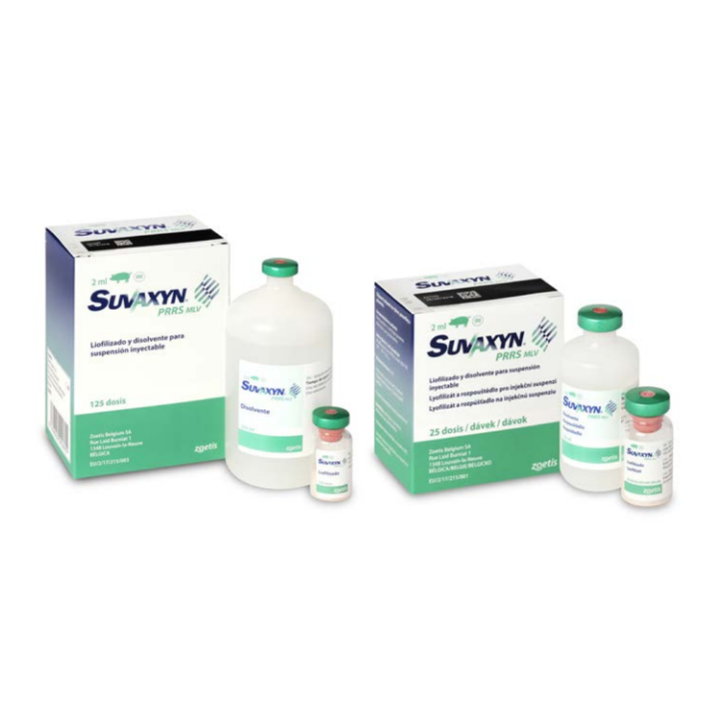 SUVAXYN PRRS MLV