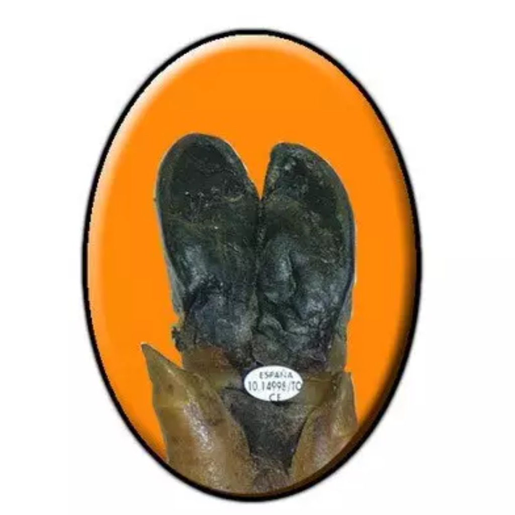 Spilla ovale con 4 punte per identificare i prosciutti, 10.000 unità