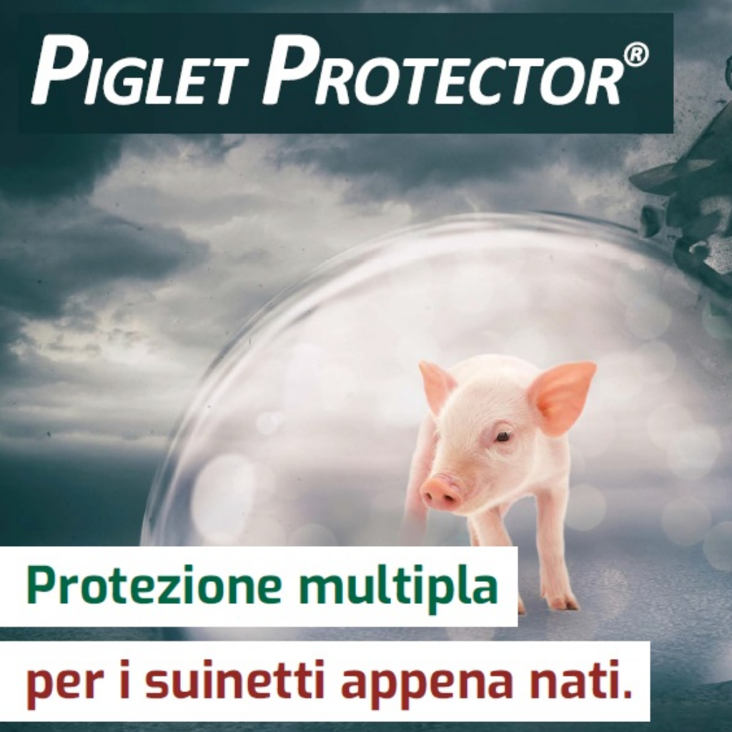 Piglet Protector®