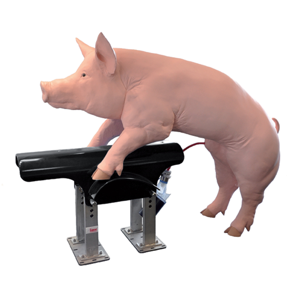 Collectis Black Dummy - Boar Semen Collection Dummy